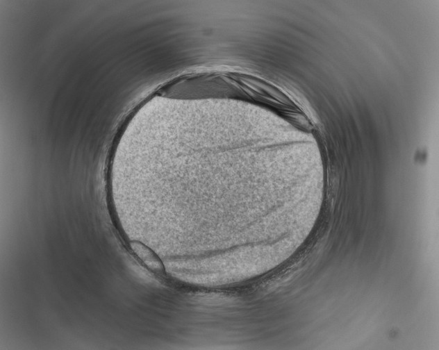 X0000116670389201001251243