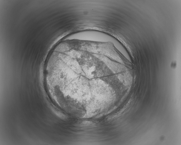X0000116670390201001251243