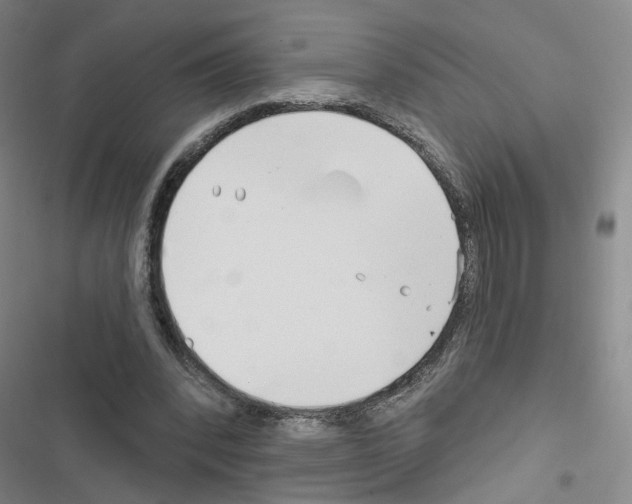 X0000116670392201001251243
