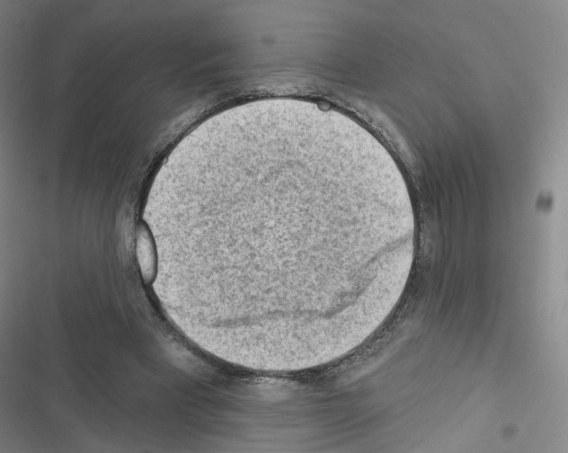 X0000116670393201001251243