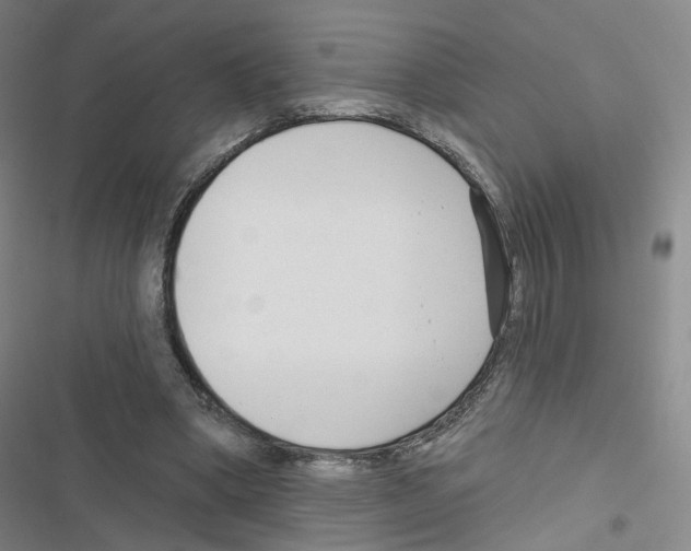 X0000116670394201001251243