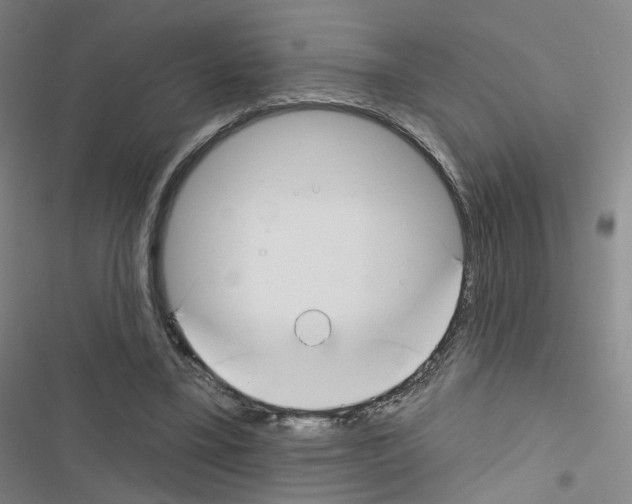 X0000116670395201001251243