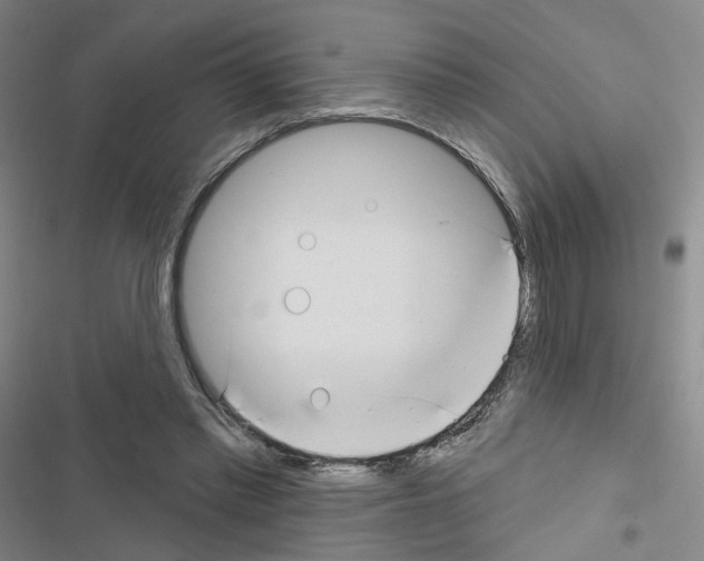 X0000116670397201001251243