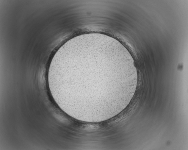 X0000116670398201001251243