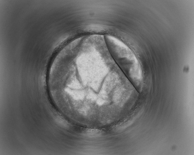 X0000116670399201001251243