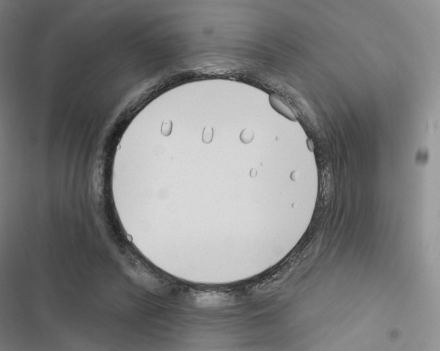 X0000116670400201001251243