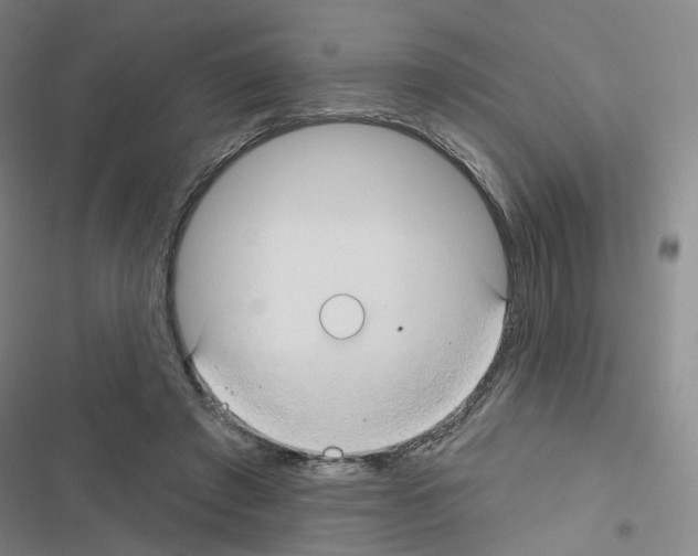 X0000116670401201001251243
