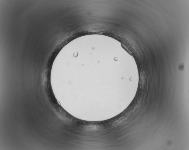 X0000116670404201001251243