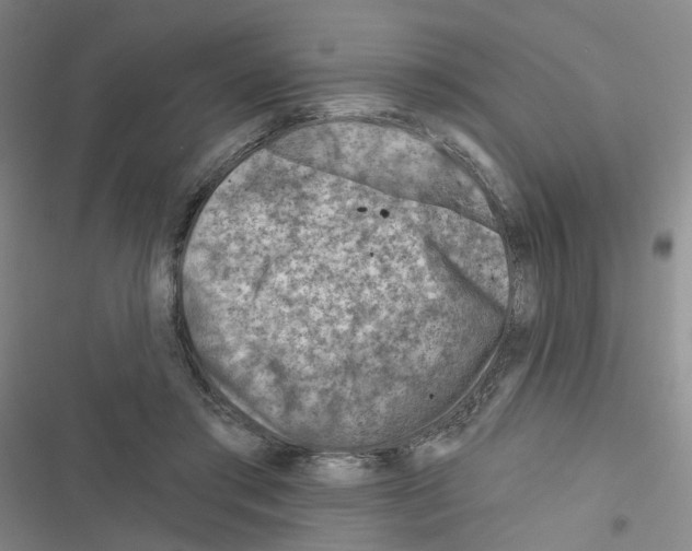 X0000116670405201001251243