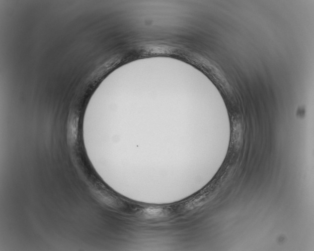 X0000116670406201001251243