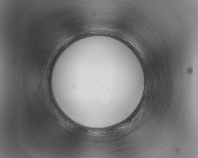 X0000116670407201001251243