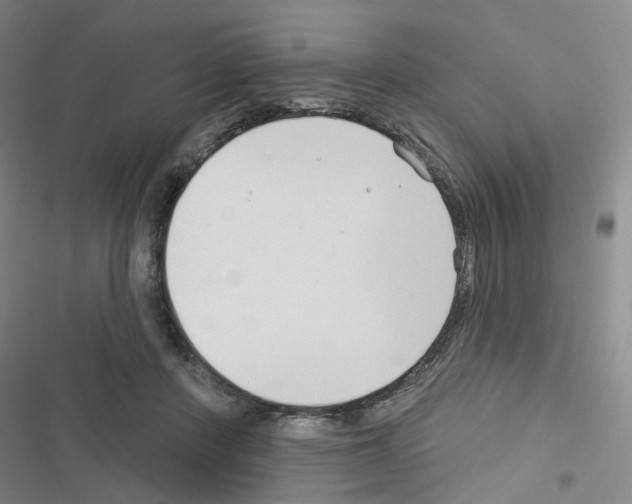 X0000116670408201001251243
