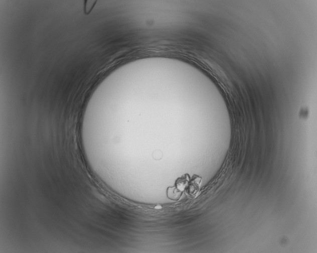 X0000116670409201001251243