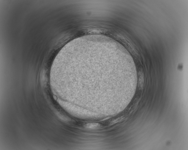 X0000116670410201001251243