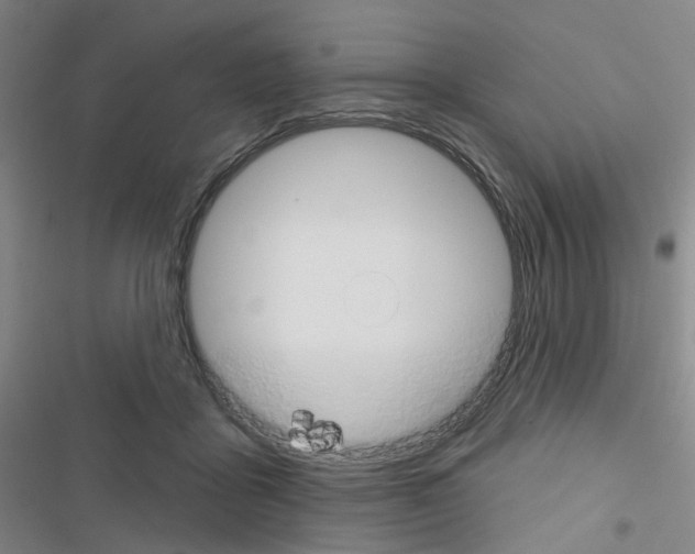X0000116670411201001251243