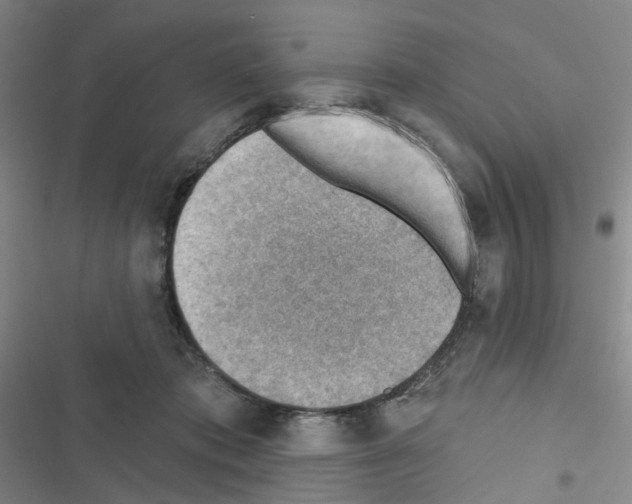 X0000116670413201001251243