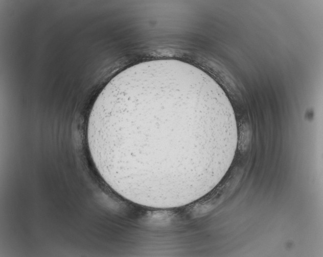 X0000116670414201001251243