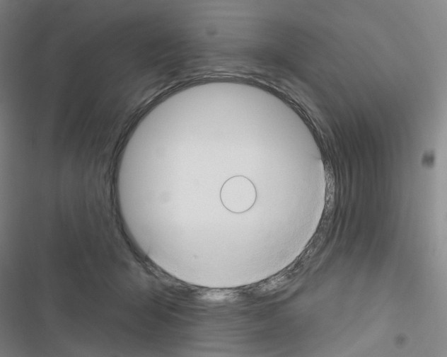 X0000116670415201001251243