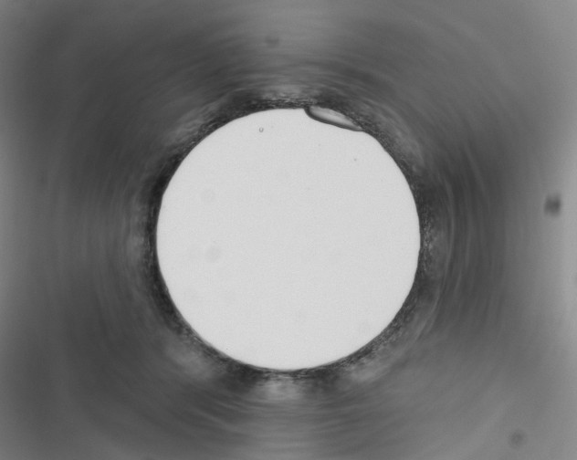 X0000116670416201001251243