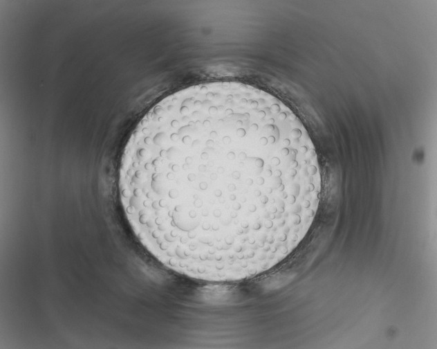 X0000116670418201001251243