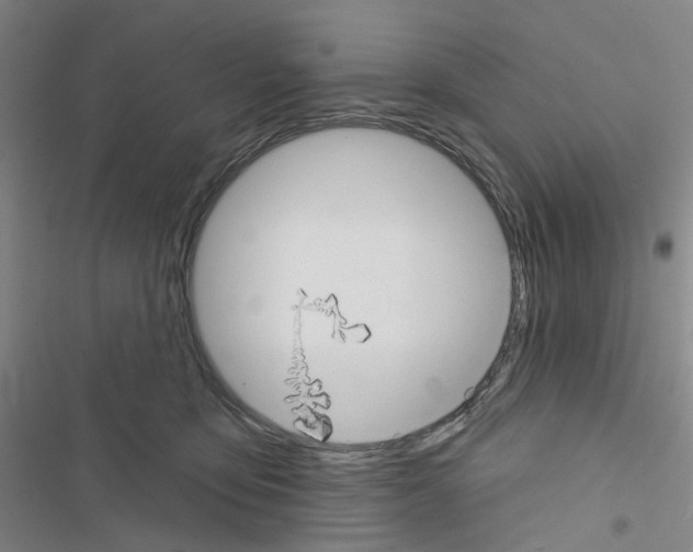 X0000116670419201001251243
