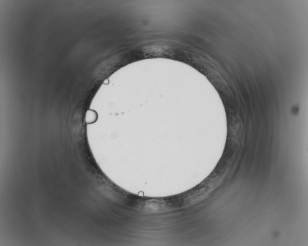 X0000116670420201001251243