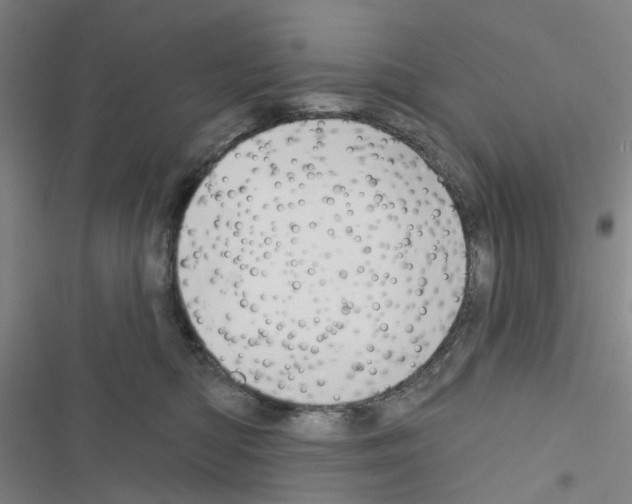 X0000116670422201001251243