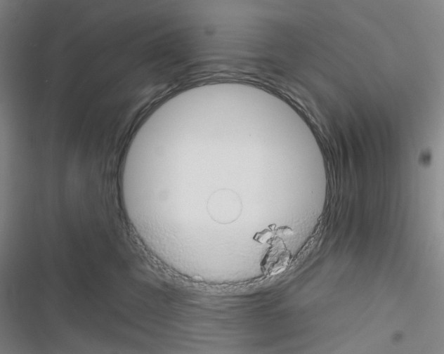 X0000116670423201001251243