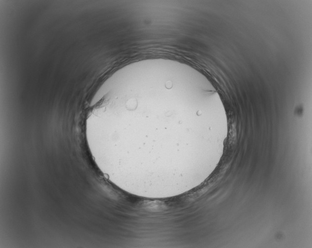 X0000116670424201001251243