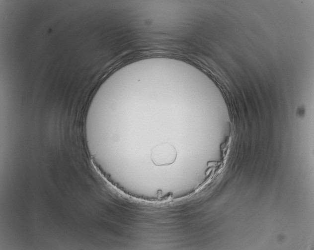 X0000116670425201001251243
