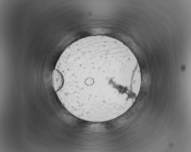 X0000116670426201001251243
