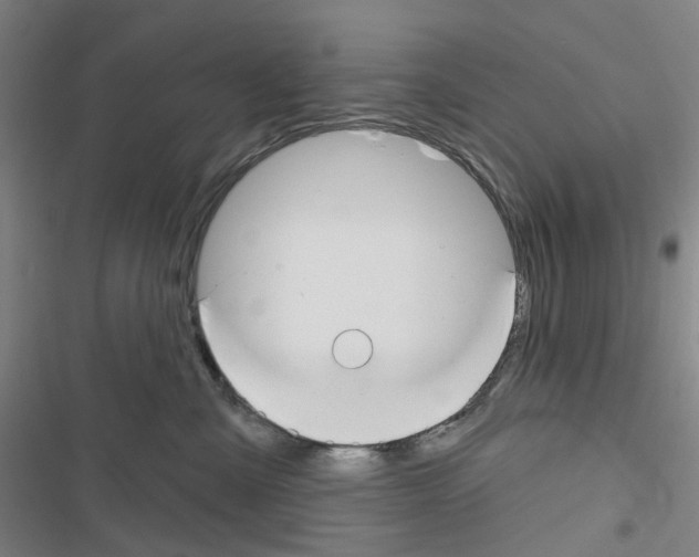 X0000116670427201001251243