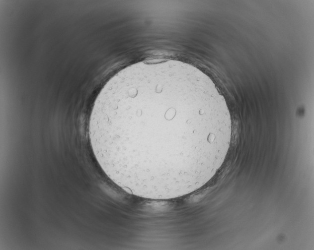 X0000116670428201001251243