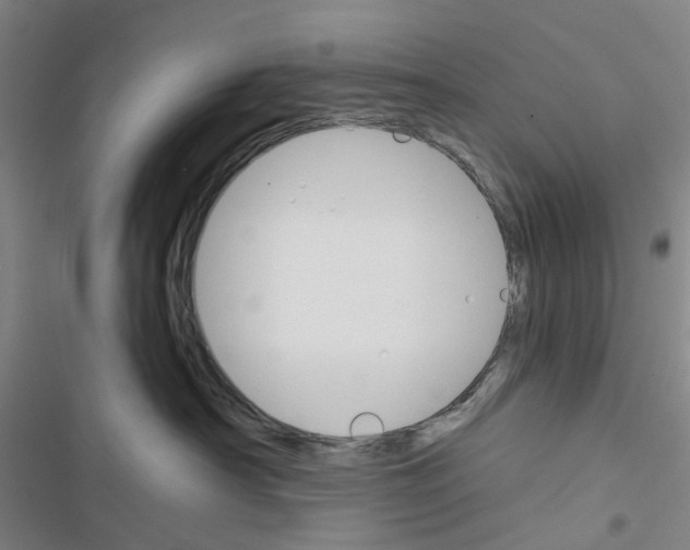 X0000116670430201001251243