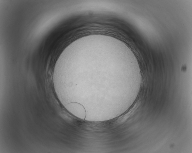 X0000116670431201001251243