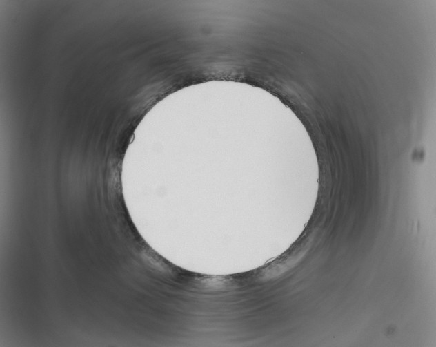 X0000116670432201001251243