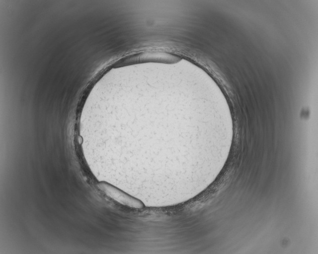 X0000116670434201001251242
