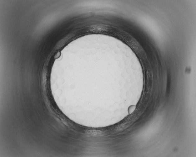 X0000116670435201001251242