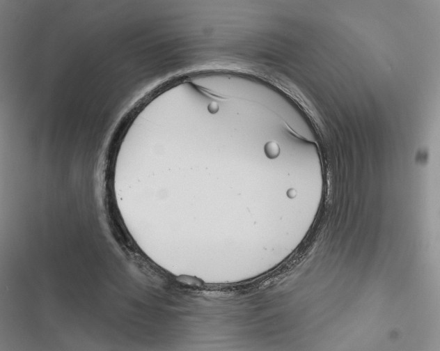 X0000116670436201001251242