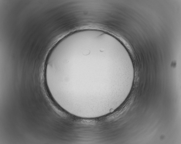 X0000116670437201001251242