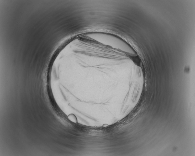 X0000116670438201001251242