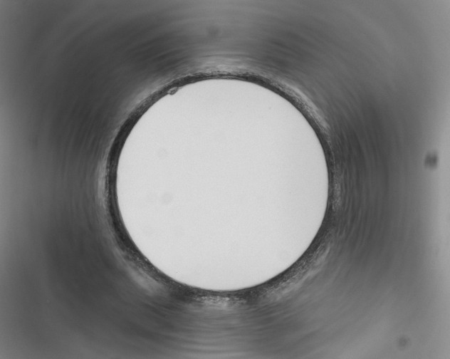X0000116670439201001251242