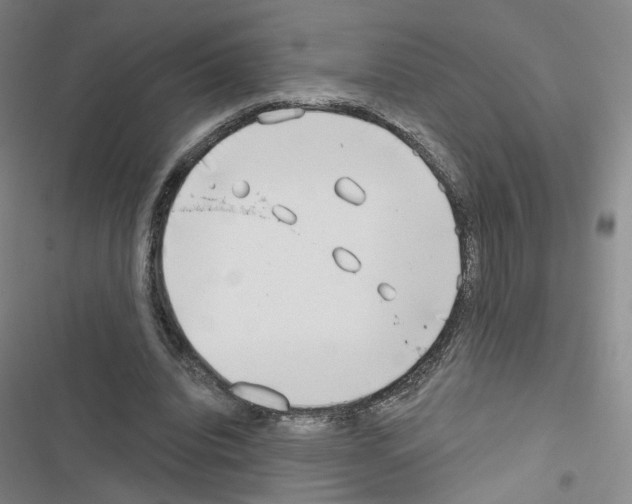 X0000116670440201001251242