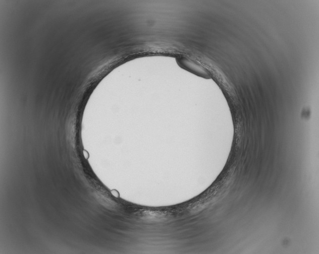 X0000116670442201001251242