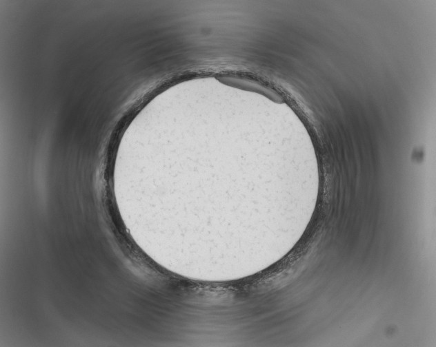 X0000116670443201001251242