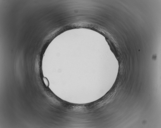X0000116670446201001251242