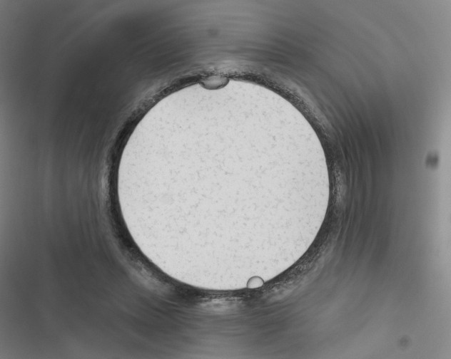 X0000116670447201001251242