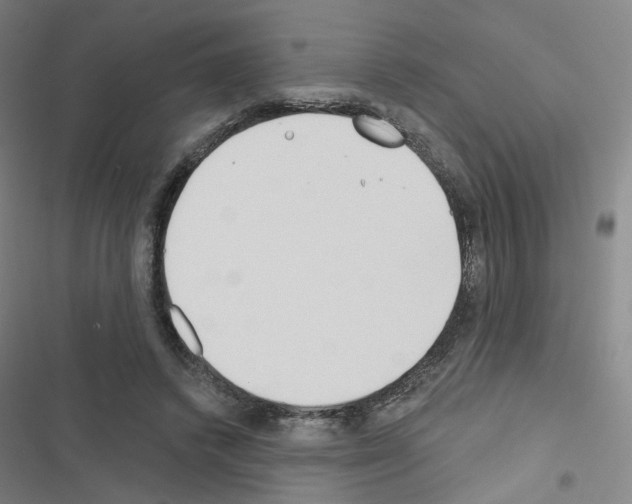 X0000116670448201001251242