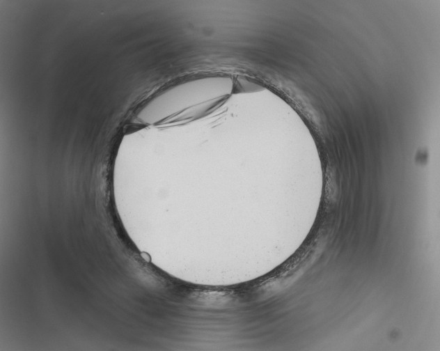 X0000116670449201001251242
