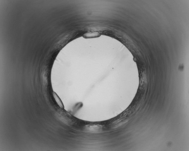 X0000116670452201001251242